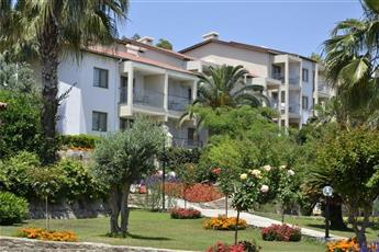 Arum Barut Collection