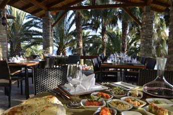 Arum Barut Collection