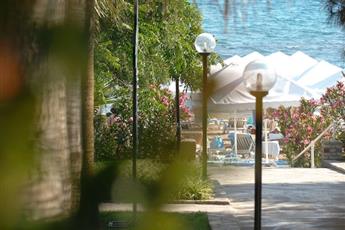 Arum Barut Collection