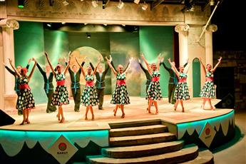 Arum Barut Collection