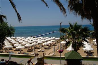 Arum Barut Collection