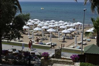 Arum Barut Collection