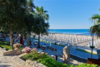 Arum Barut Collection