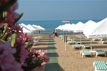 Arum Barut Collection