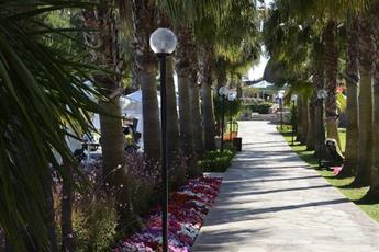 Arum Barut Collection