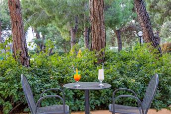 Asteria Collection Side 5*