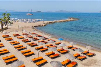 Asterina Hotel Turgutreis 3*