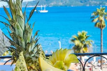 Aurasia Sea Side Hotel