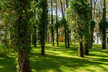 Baia Salima Kemer 5*