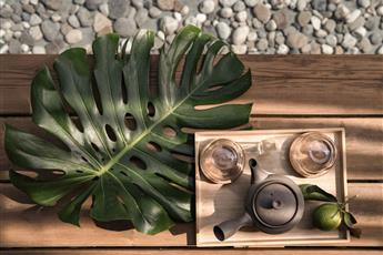 Balmy Beach Resort Kemer 4* Adults Only 18+