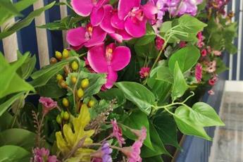 Balpetek Hotel 5* Balpetek Hotel 5*