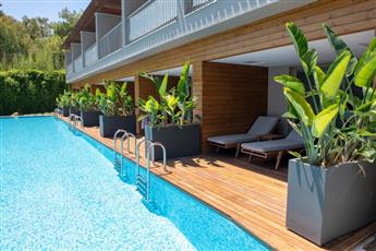 Barut Hemera