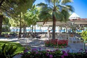 Barut Hemera