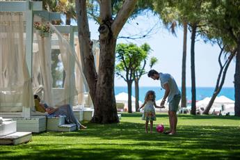 Barut Hemera