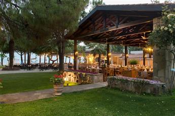Barut Hemera
