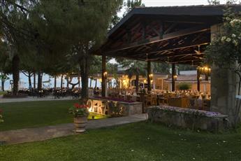 Barut Hemera