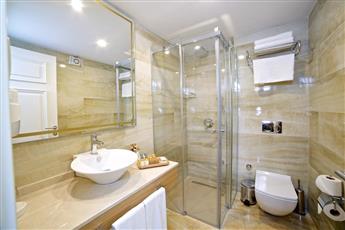 Beethoven Premium Hotel 4*