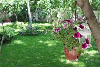 Bella Garden Hotel 4*