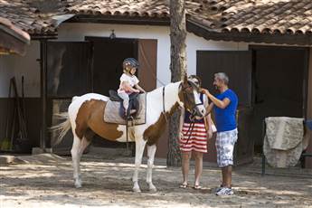 Bellis Deluxe Hotel 5* Bellis Deluxe Hotel 5*