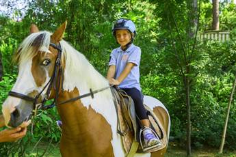 Bellis Deluxe Hotel 5* Bellis Deluxe Hotel 5*