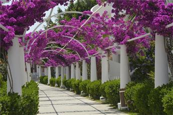 Bendis Beach Hotel