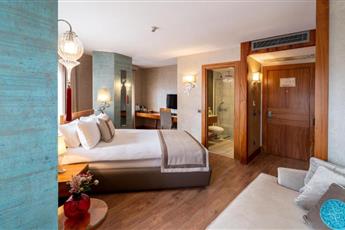Biz Cevahir Sultanahmet Hotel 4*