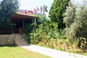 Blue Fish Hotel 4*