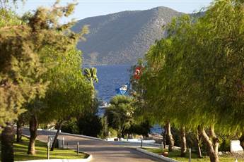 Bodrum Holiday Resort & Spa 5*