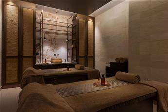 Burdock Hotel Istanbul Autograph Collection
