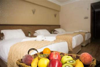 Buyuk Hamit Hotel 4*