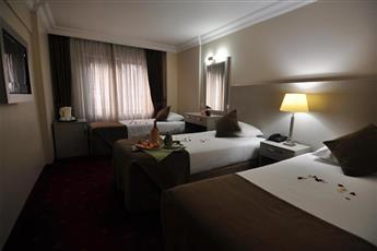 Buyuk Sahinler Hotel