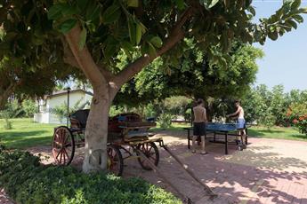 Caretta Beach Hotel 4*