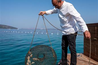 Casa Nonna Bodrum 5* Adults Only 16+