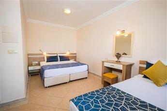 Catty Cats Garden Hotel