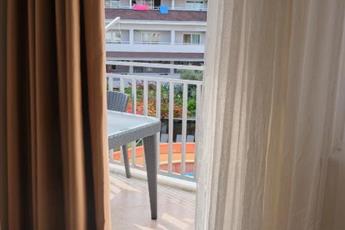 Catty Cats Garden Hotel