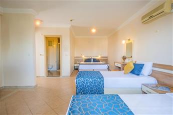 Catty Cats Garden Hotel