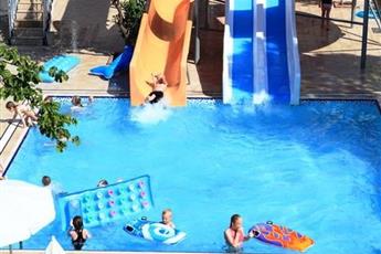 Catty Cats Garden Hotel