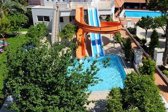 Catty Cats Garden Hotel