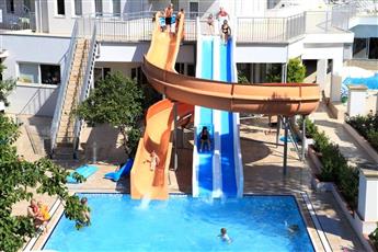 Catty Cats Garden Hotel