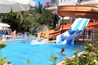 Catty Cats Garden Hotel
