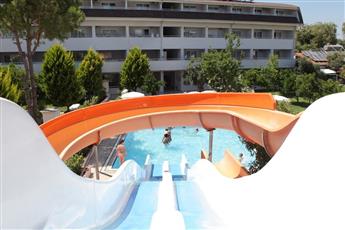 Catty Cats Garden Hotel
