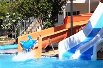 Catty Cats Garden Hotel