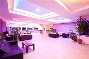 Catty Cats Garden Hotel