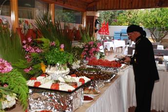 Catty Cats Garden Hotel