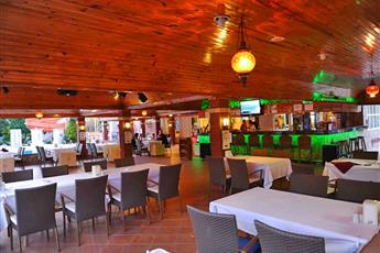 Catty Cats Garden Hotel