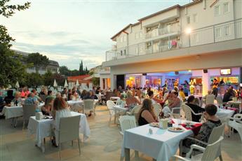 Catty Cats Garden Hotel