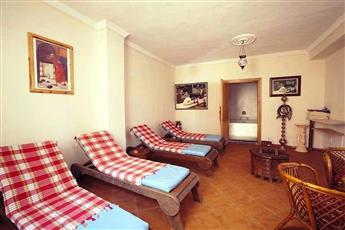 Catty Cats Garden Hotel