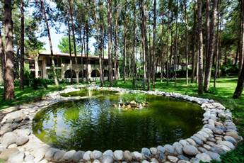 Champion Holiday Village