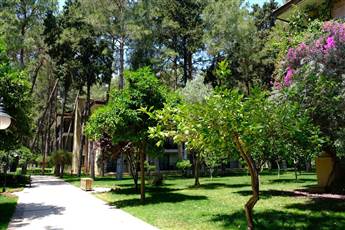 Champion Holiday Village