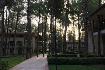 Champion Holiday Village